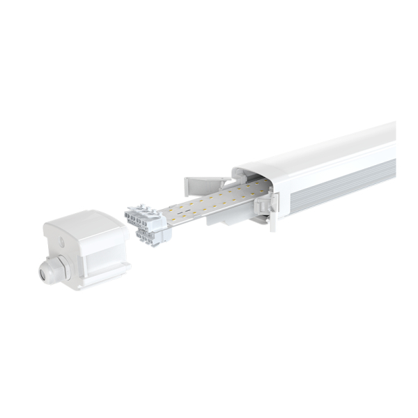 LED TRI-PROOF | 36-45-53-62W | 150CM | CCT SWITCH - Afbeelding 3